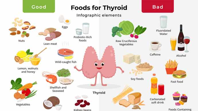 Know Your Thyroid Diet For Weight Loss