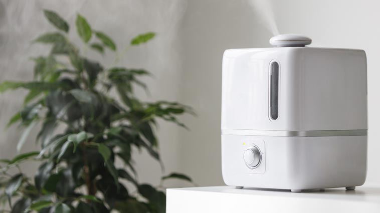 How to Use an Air Purifier
